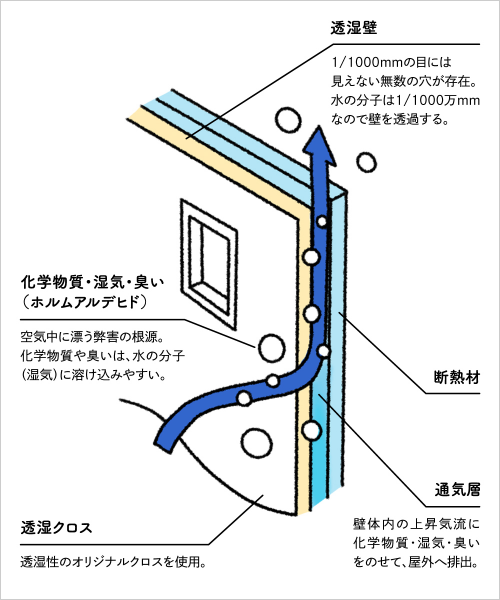 壁の呼吸